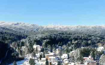 Cosenza guarda la Sila per accrescere il suo potenziale turistico e ... - Quotidiano online