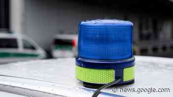 Kriminalität - Passau - Illegaler Welpenverkauf verhindert - Bayern ... - Süddeutsche Zeitung - SZ.de