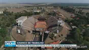 Festa do Peão de Barretos, SP, gera cerca de dez mil vagas ... - Globo