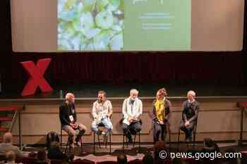 L'eredità di Vavilov, una busta di semi per noi, di cui avere cura - Cremona Sera