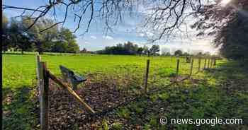 Gemeente opent tweede hondenlosloopweide aan kasteel van ... - Het Laatste Nieuws