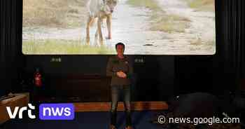 Film Wolf officieel voorgesteld in Beringen: "Wolven kunnen filmen ... - VRT.be