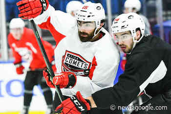 Gambardella an essential voice for Utica Comets - Rome Sentinel