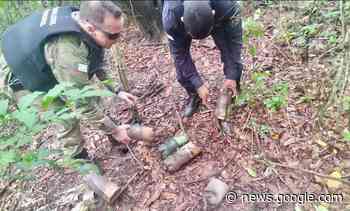 Armadilhas para cata ilegal de caranguejos e guaiamuns são ... - HOJE ES