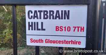 Catbrain, the great-crested newt and an old airfield have more in common than you might think