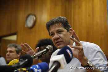 Haddad: extrema direita será a força de oposição do governo Lula e ... - Focus.jor