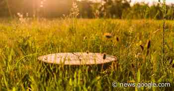 4000 plaatsen voor natuurbegraven in Hooge Heide - BD.nl