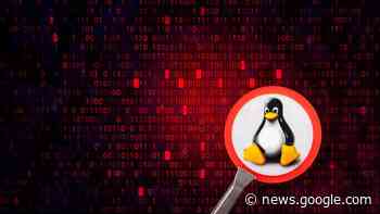 Neue Linux-Malware erreicht 2022 Rekordhöhe - Onlineportal von ... - it-daily.net
