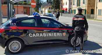 Pregiudicato deteneva armi illegalmente. Carabinieri di Crema ... - Cremona Sera