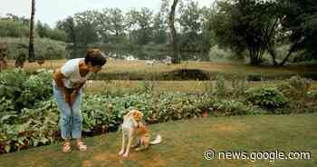 Natste plek van Vlaanderen ligt in Zonhoven, in theorie althans ... - Het Laatste Nieuws