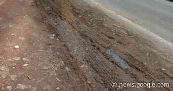 Vercelli: uno strato scivoloso e putrido - La Sesia | Cronaca