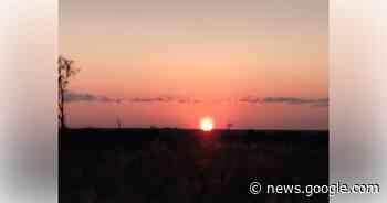 Sunrise Over North Lake At Ocala National Forest - Ocala News