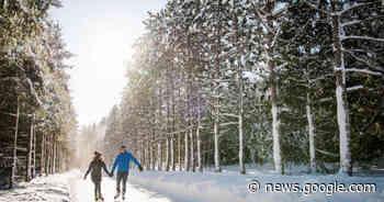 You can skate through a forest on top of a mountain in Ontario - blogTO