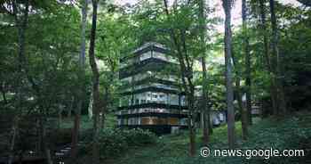 hiding glass house in japanese forest sees 360 degrees through all ... - Designboom