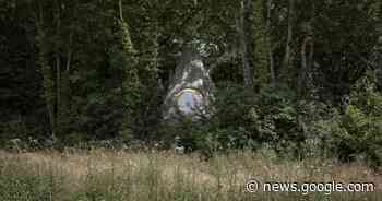 Micro-cabin with rock-like finish blends into a French forest - New Atlas
