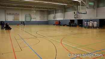 SV Halstenbek-Rellingen bittet zum Jan-Automobile-Cup - shz.de