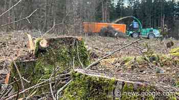 Rothschwaiger Forst: Bund Naturschutz warnt vor Deponie in ... - Süddeutsche Zeitung - SZ.de