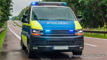 Holzdiebstahl und Betrug im Forst Thurn & Taxis aufgeklärt - Regensburger Nachrichten