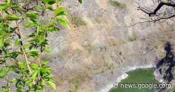 Spektakulärer Blick in die Tiefe - Forst - DIE RHEINPFALZ - Rheinpfalz.de