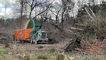 Kiesabbau im Rothschwaiger Forst: Erst roden, dann reden - Süddeutsche Zeitung - SZ.de