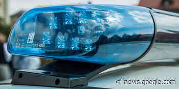 FORST | Autotransporter aus dem Verkehr gezogen | Info-Slider - Landfunker