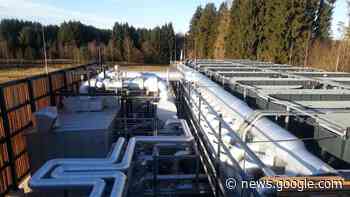 Grünwald baut neue Fernwärmeleitung durch den Forst - Merkur.de