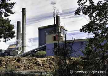 Catalyst-Crofton Pulp Mill to Begin Transition to New Products - My Comox Valley Now