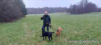 Giffnock: Fields in Trust status extended for Huntly Park - Barrhead News