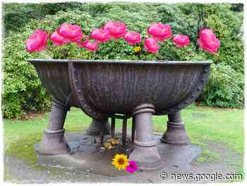 Stadtwerke Bochum: Auf der Suche nach Herzensprojekten - Bochum - www.lokalkompass.de