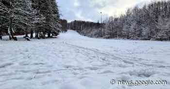Auf Spurensuche – Sindelfingen: Wo sind nur die Schlittenfahrer ... - Sindelfinger Zeitung / Böblinger Zeitung