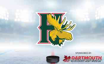Mooseheads continue win streak with 10-7 win over Saint John - Halifax.CityNews.ca