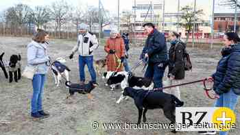 Wolfsburger Hundebesitzer fordern sicheren Hundeplatz
