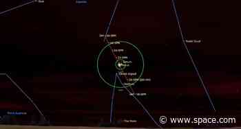Don't miss Saturn and Venus together in the night sky tonight