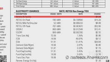 Decoding the charges on your Xcel bill, line by line