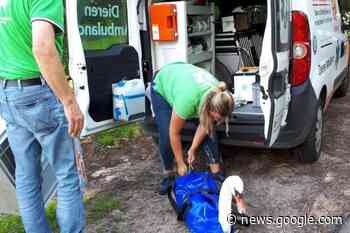 Dierenambulance Midden-Limburg zoekt versterking van het vri... - De Limburger