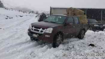 Arzana, gli allevatori si aiutano nel trasporto del foraggio - Cagliaripad.it