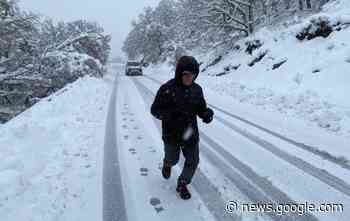 Non c'è neve che tenga, Zigheddu sale in quota - Cagliaripad.it
