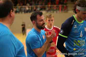 Die Hammelburg Volleys spielen gegen Dachau - Fränkischer Tag