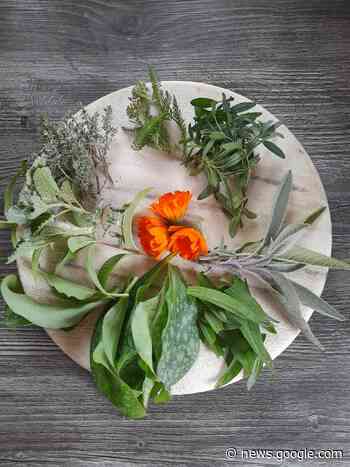 Kräuter: Wildkräuter-Kurse am Krametterhof - Feldkirchen - meinbezirk.at