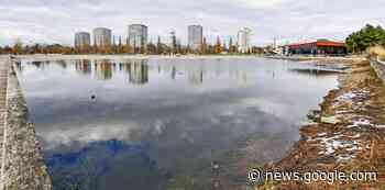 Das Wasser im Stegmattensee schwindet - Lahr - badische-zeitung.de
