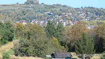 Guido Schöneboom gibt Erklärung ab: Wildes Bauen: Stadt Lahr will ... - Schwarzwälder Bote