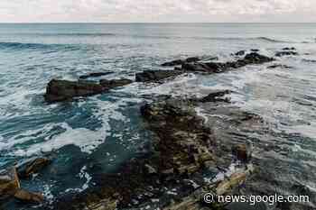 High Wind Warning issued for Newport County, Rhode Island - What'sUpNewp