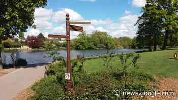 New Havering parks team expected 'before May', council says - Romford Recorder