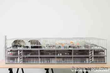 Licht op groen voor openluchtzwembad in Brussel - De Standaard