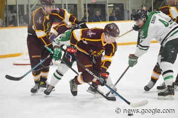 Roos win 4-3 against rival Stamps in away game - Quesnel Cariboo ... - Quesnel - Cariboo Observer