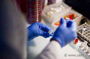 USA: Tierversuche für Arzneimittelentwicklung nicht mehr Pflicht