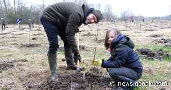 Buurtbewoners planten samen met Cargill 3.200 bomen aan de ... - Het Laatste Nieuws