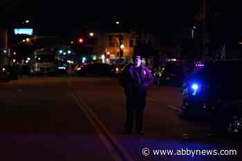 L.A. mass shooting suspect kills 10 near Lunar New Year fest