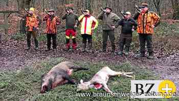Großjagd im Papenteicher Wald