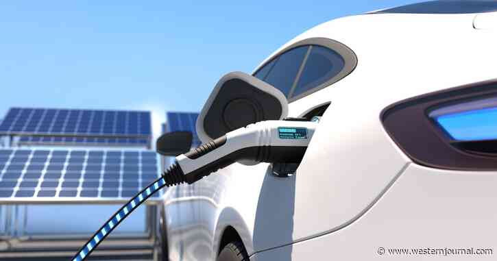 Electric Cars Banned from Shipping Line - Boss Says 'Under No Circumstances' Is One to Be Brought Aboard